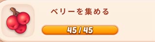 ベリー2.jpg