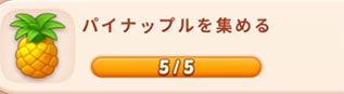 光の輪パイナップル.jpg