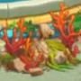 アトランティスの謎サンゴ.jpg
