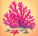 サンゴ礁.jpg
